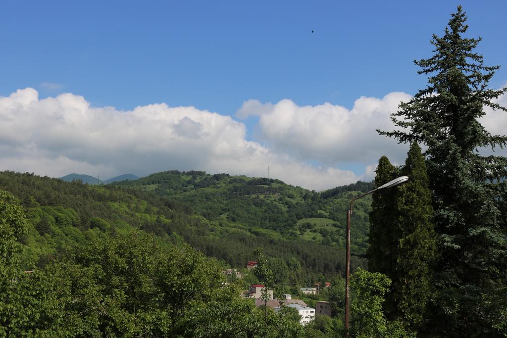 Dilijan Garden Houseヴィラ エクステリア 写真