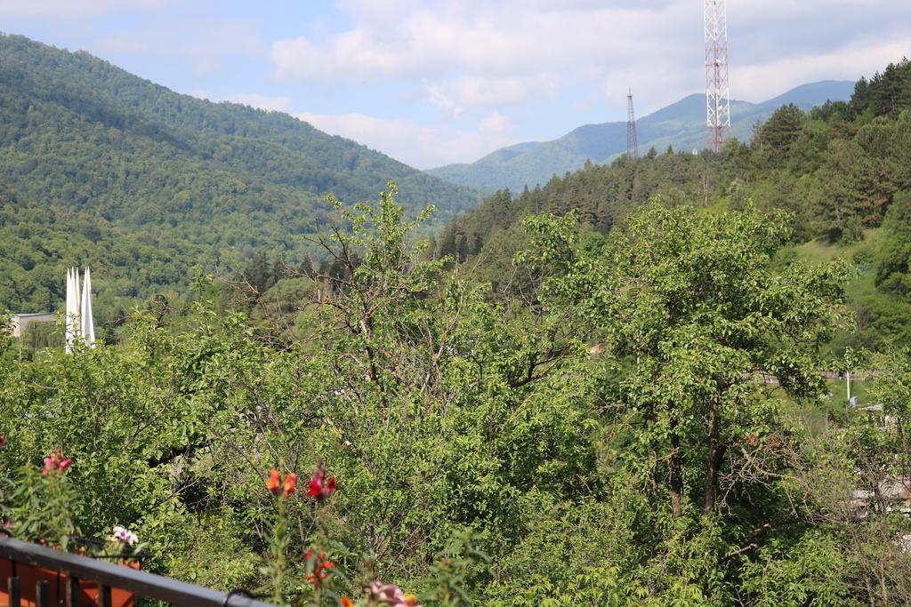 Dilijan Garden Houseヴィラ エクステリア 写真